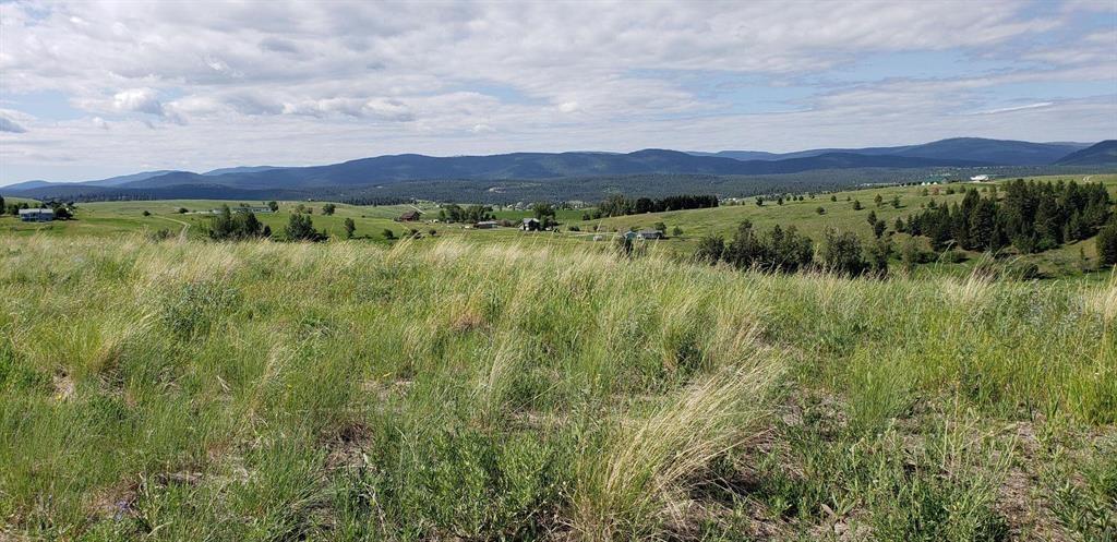 138 Grassy Loop Property Photo 8