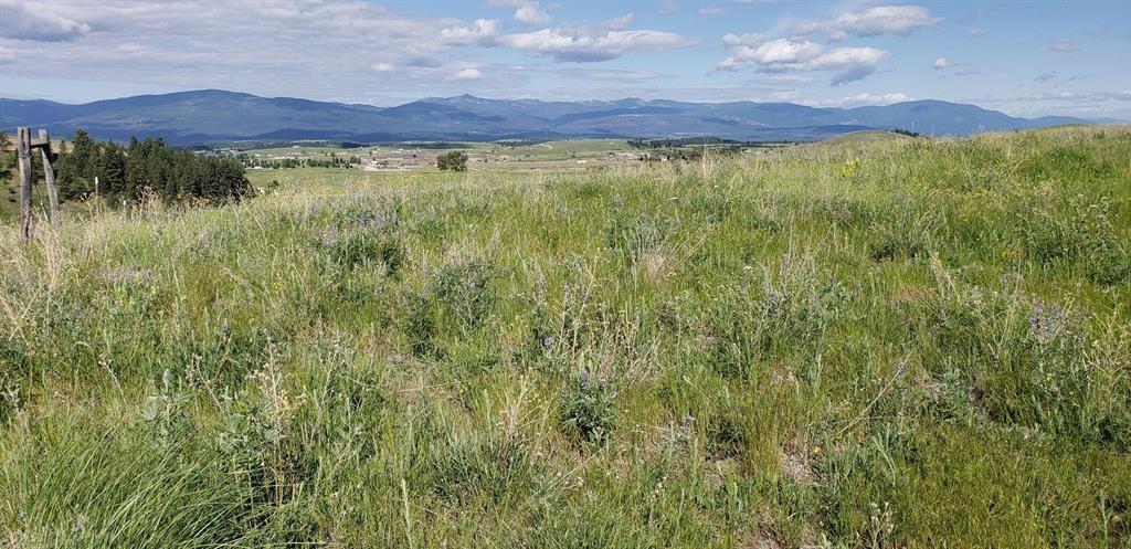 138 Grassy Loop Property Photo 10