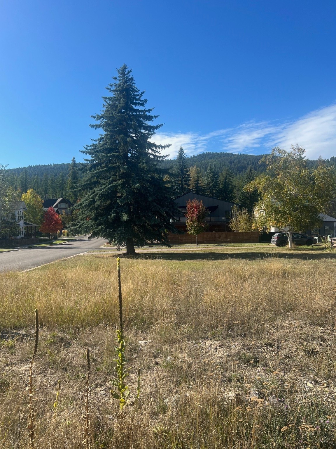 Nhn Salmon Run Property Photo 6