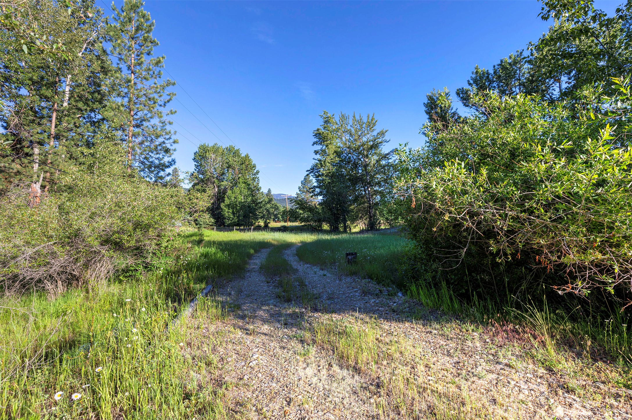 279 Conner Cutoff Road Property Photo 8