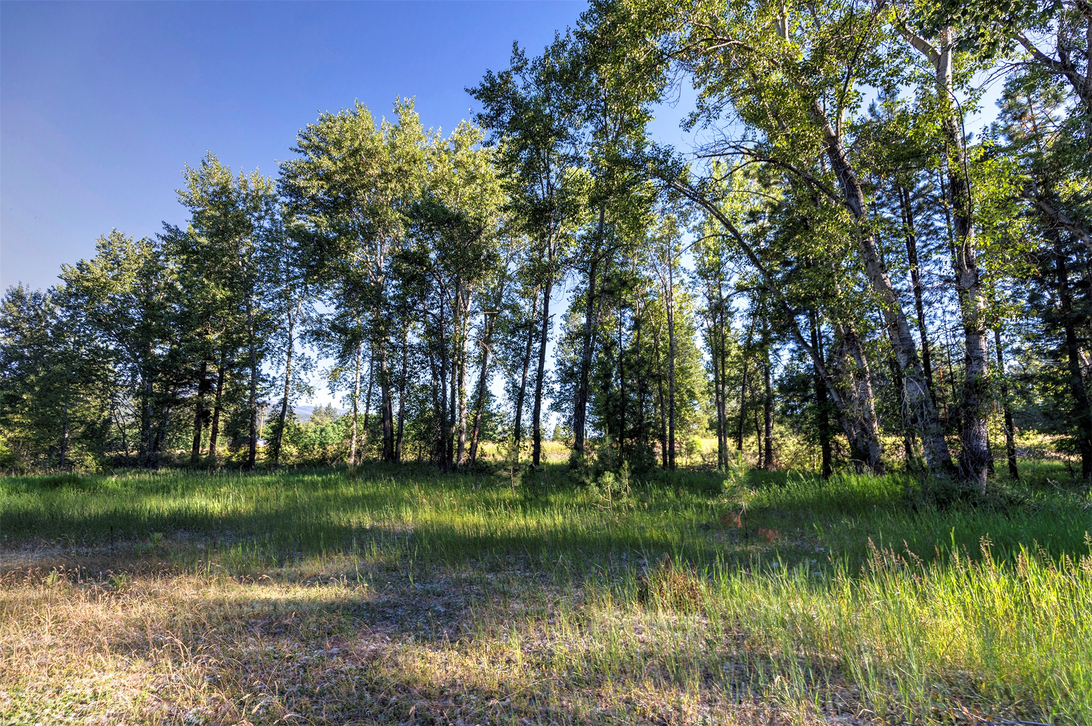 279 Conner Cutoff Road Property Photo 21