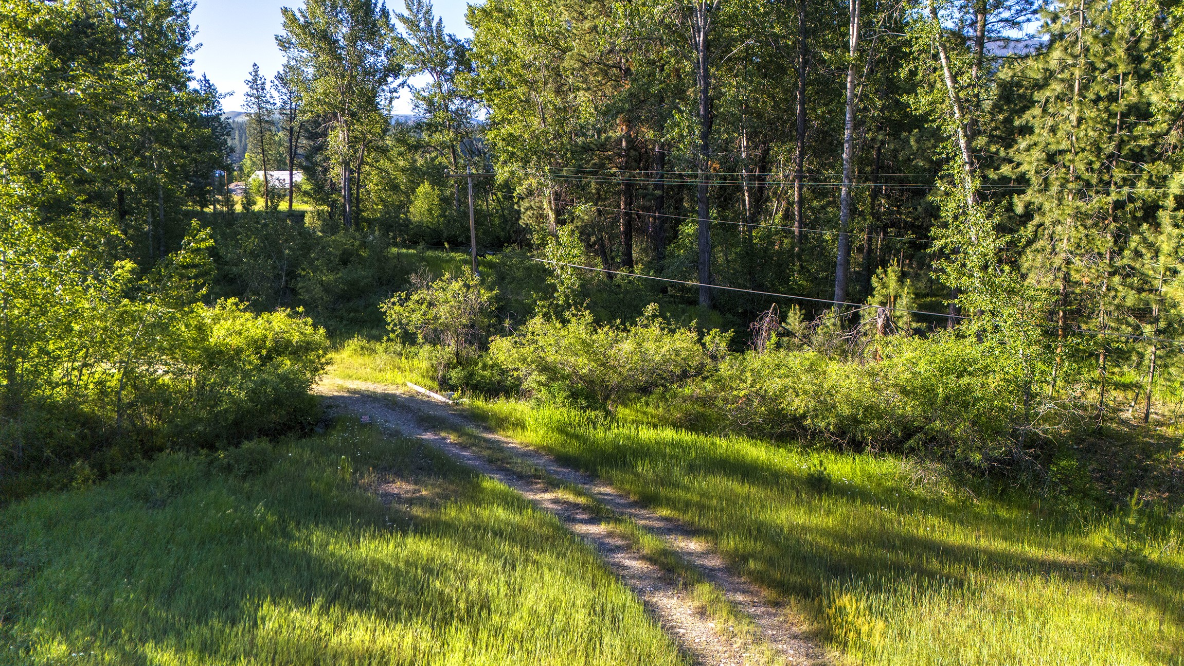 279 Conner Cutoff Road Property Photo 40