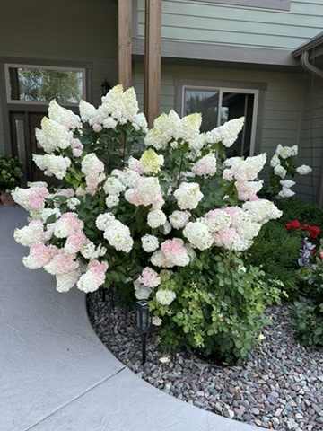 11 White Bark Lane Property Photo 8
