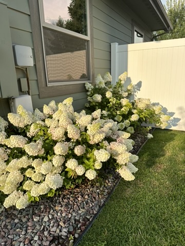 11 White Bark Lane Property Photo 50