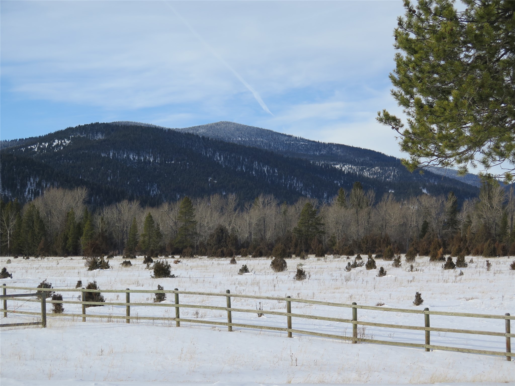 1370 Dalton Mountain Road Property Photo 4