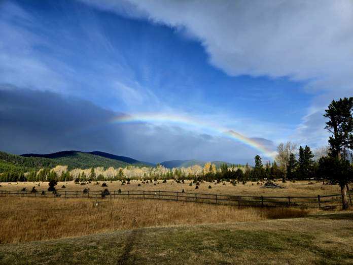 1370 Dalton Mountain Road Property Photo 30