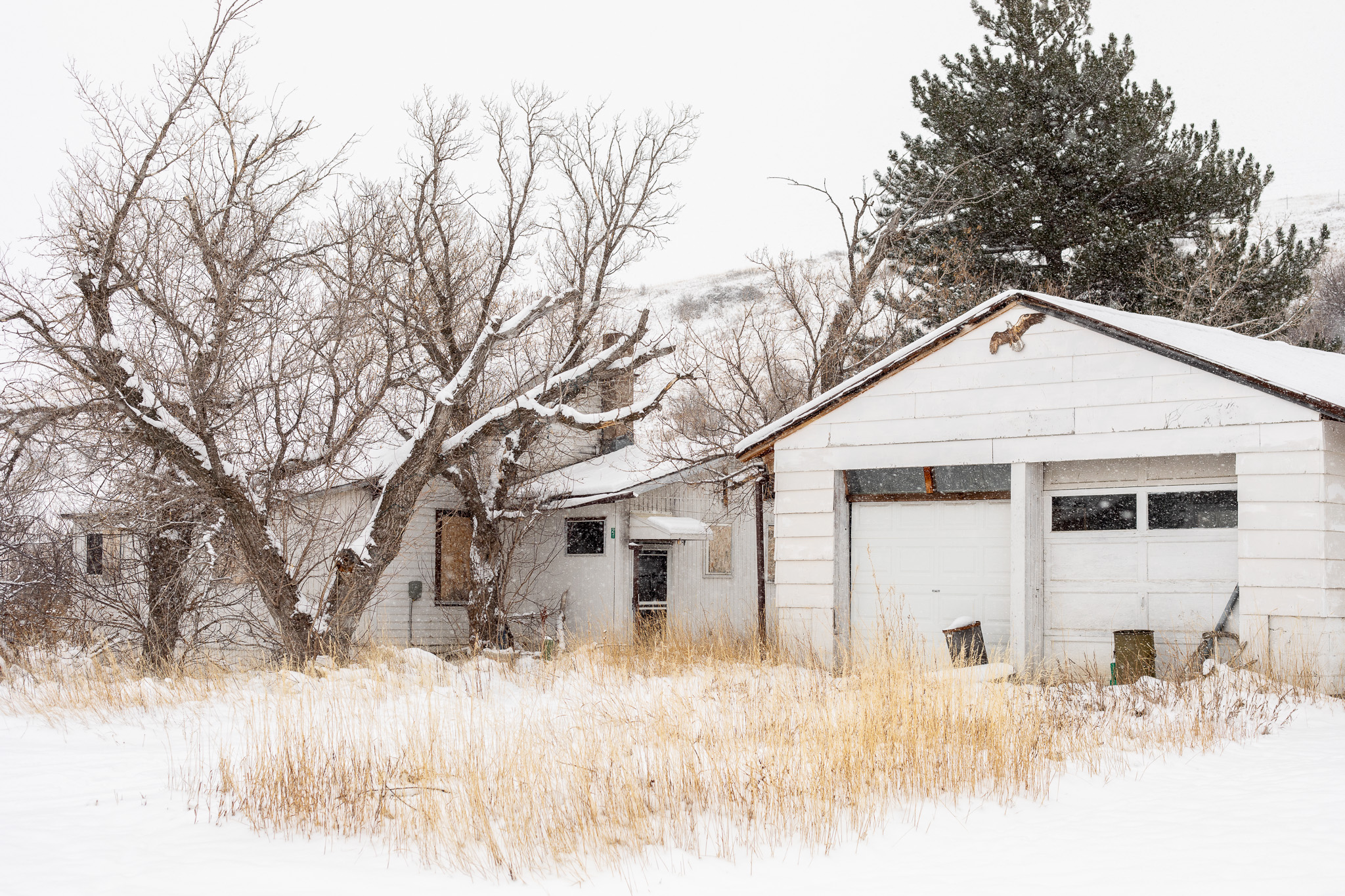 21 Dewey Avenue Property Photo