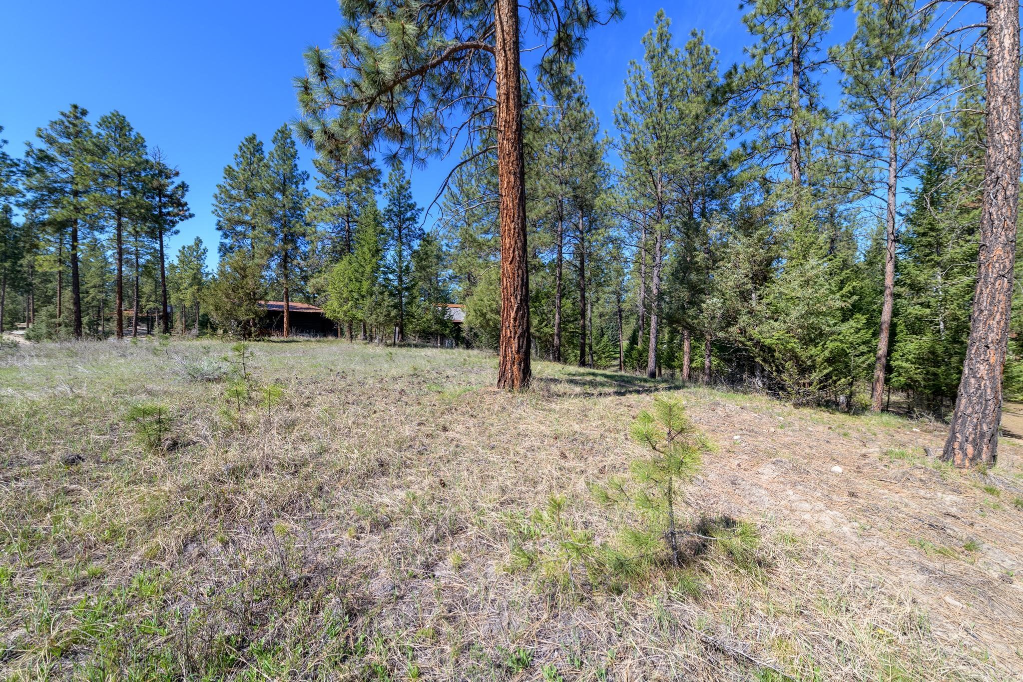 750 Wilderness Club Drive Property Photo 3