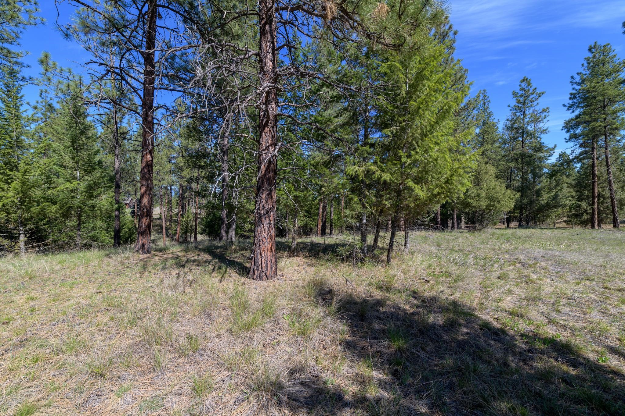 750 Wilderness Club Drive Property Photo 5