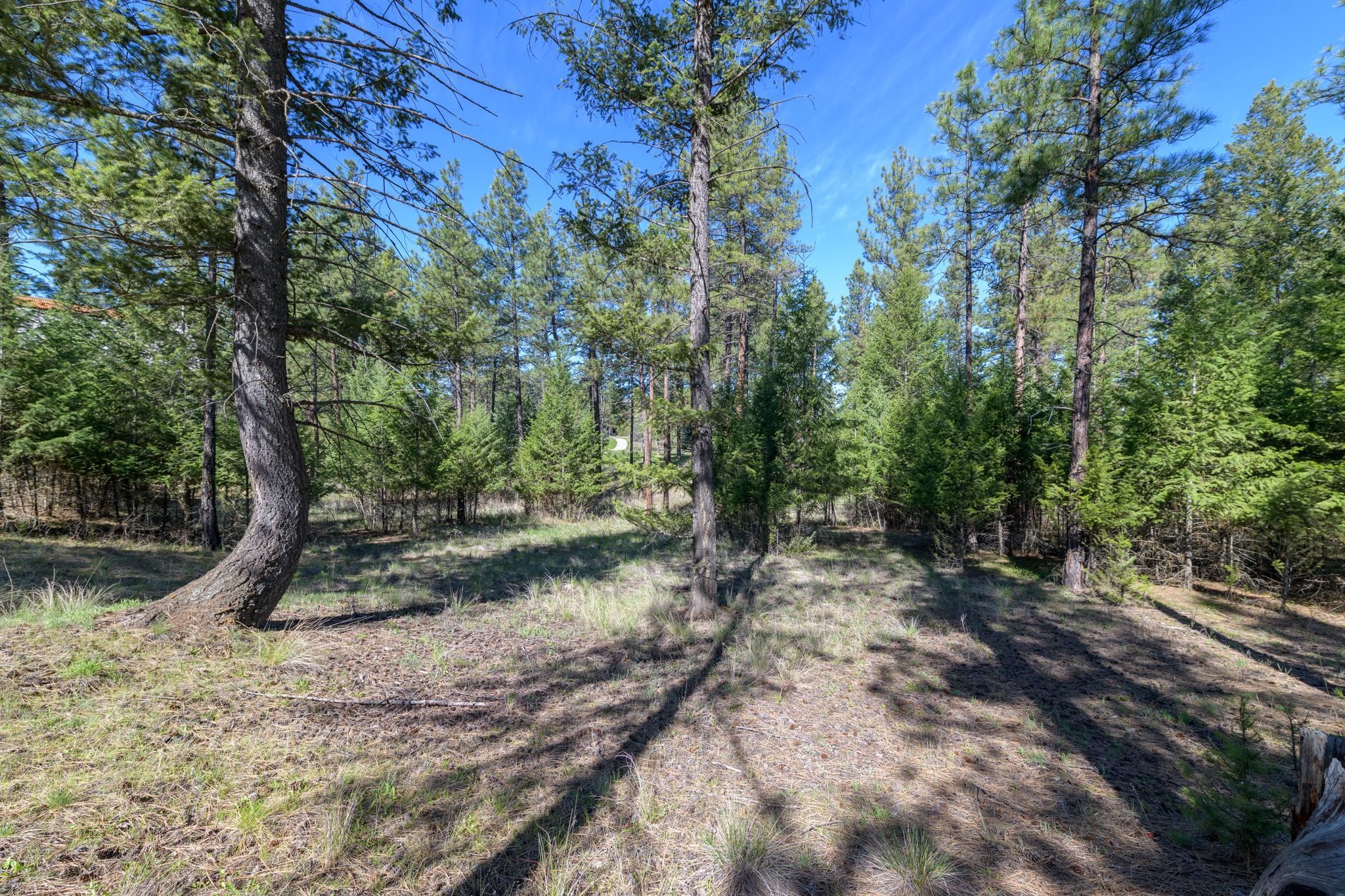 750 Wilderness Club Drive Property Photo 6