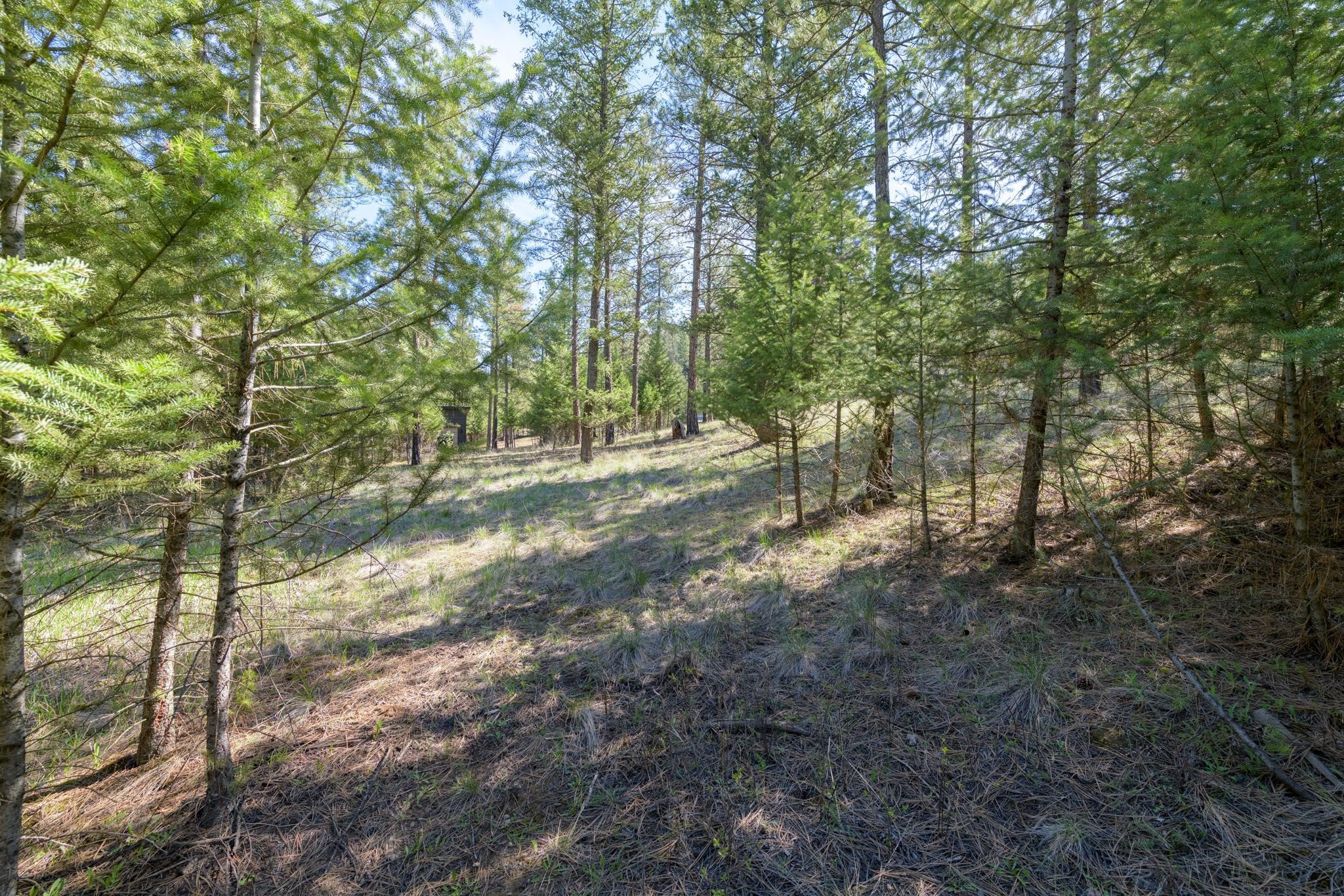 750 Wilderness Club Drive Property Photo 7