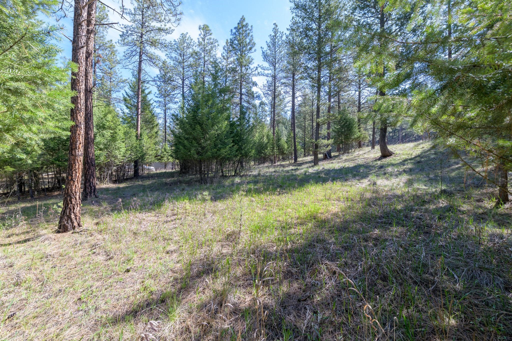 750 Wilderness Club Drive Property Photo 8