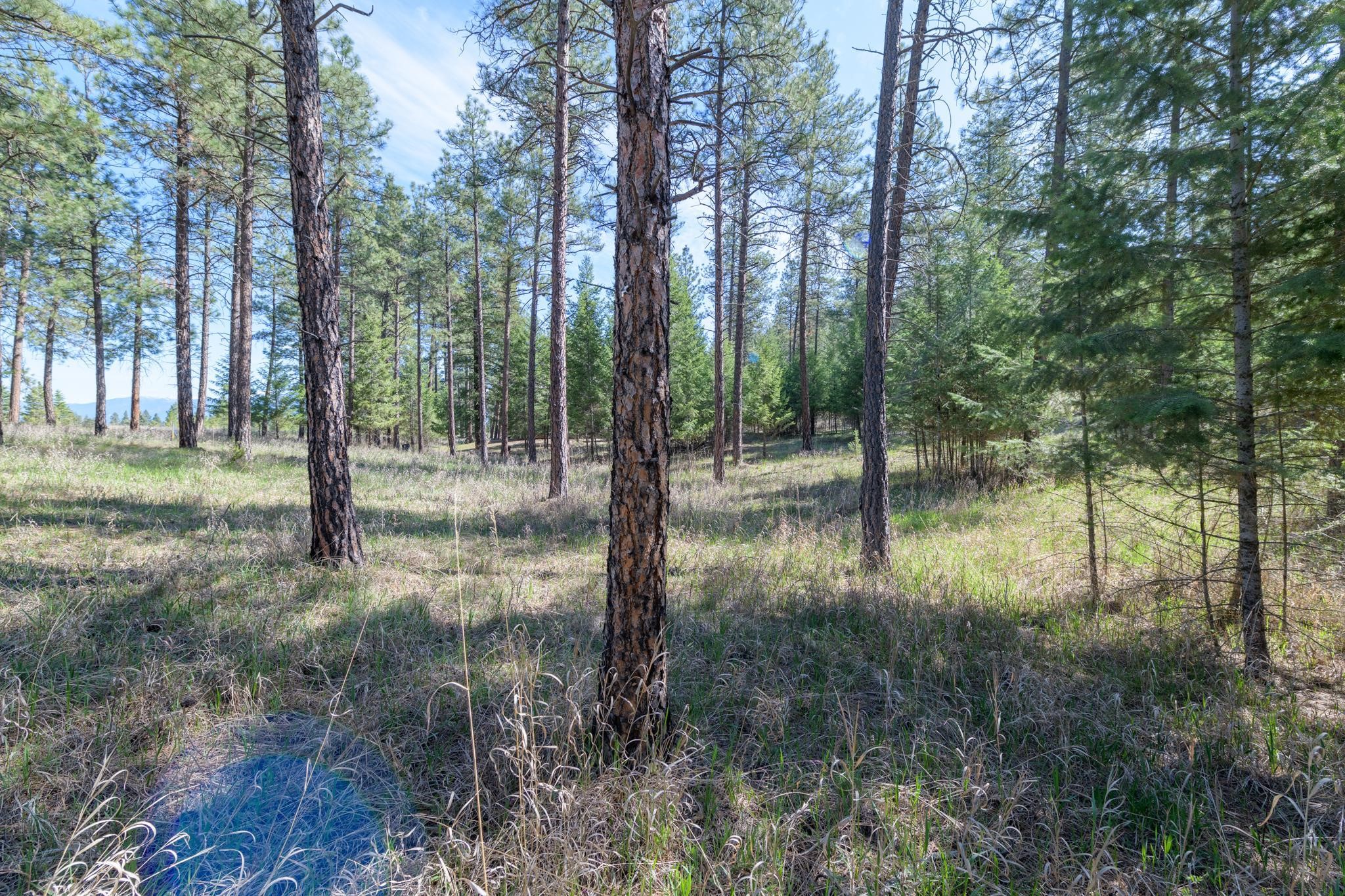 750 Wilderness Club Drive Property Photo 10