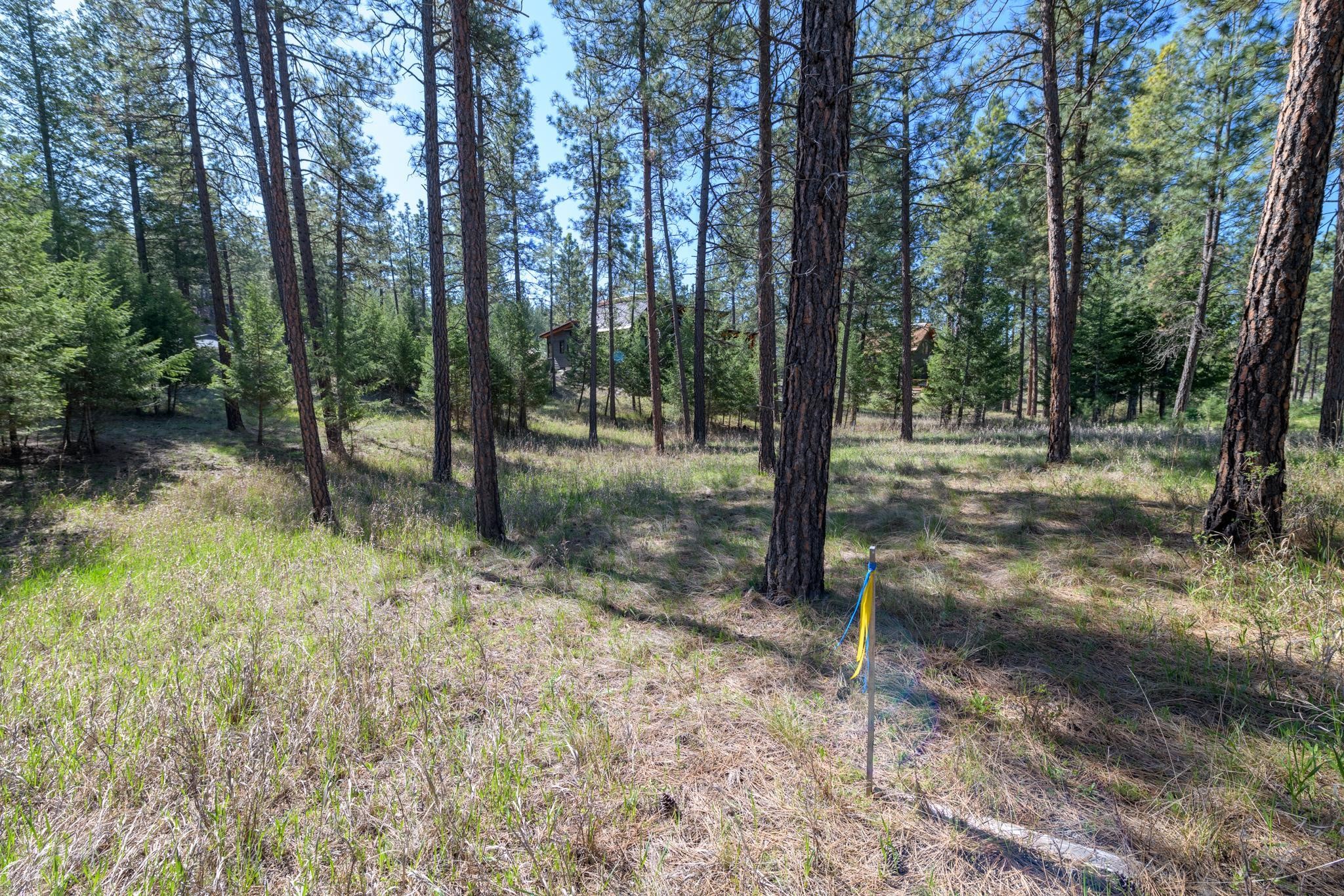 750 Wilderness Club Drive Property Photo 14