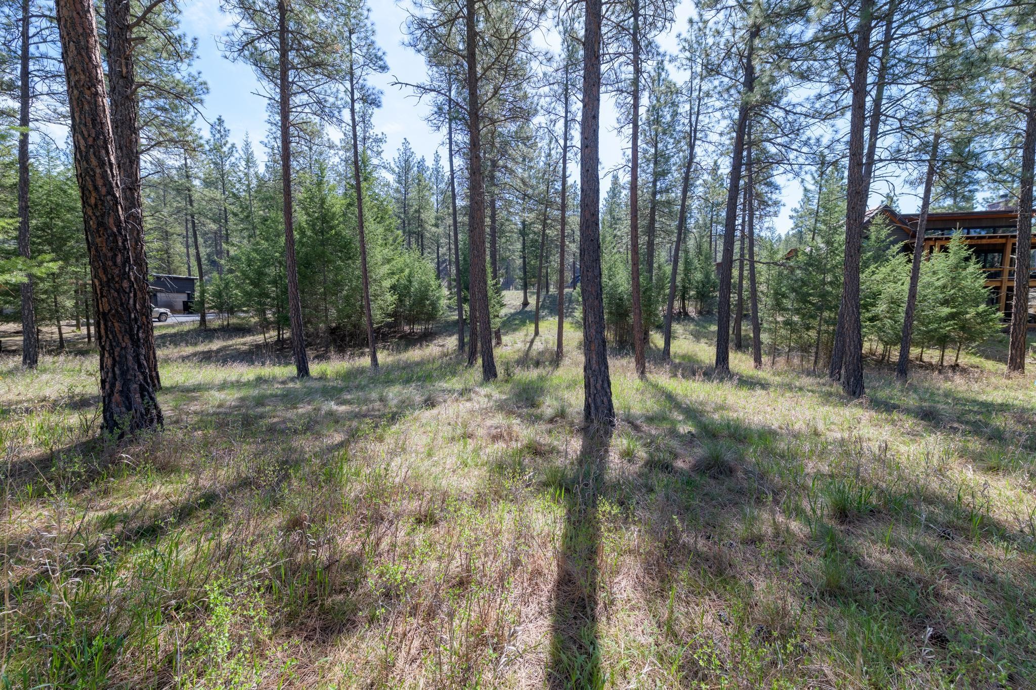 750 Wilderness Club Drive Property Photo 15