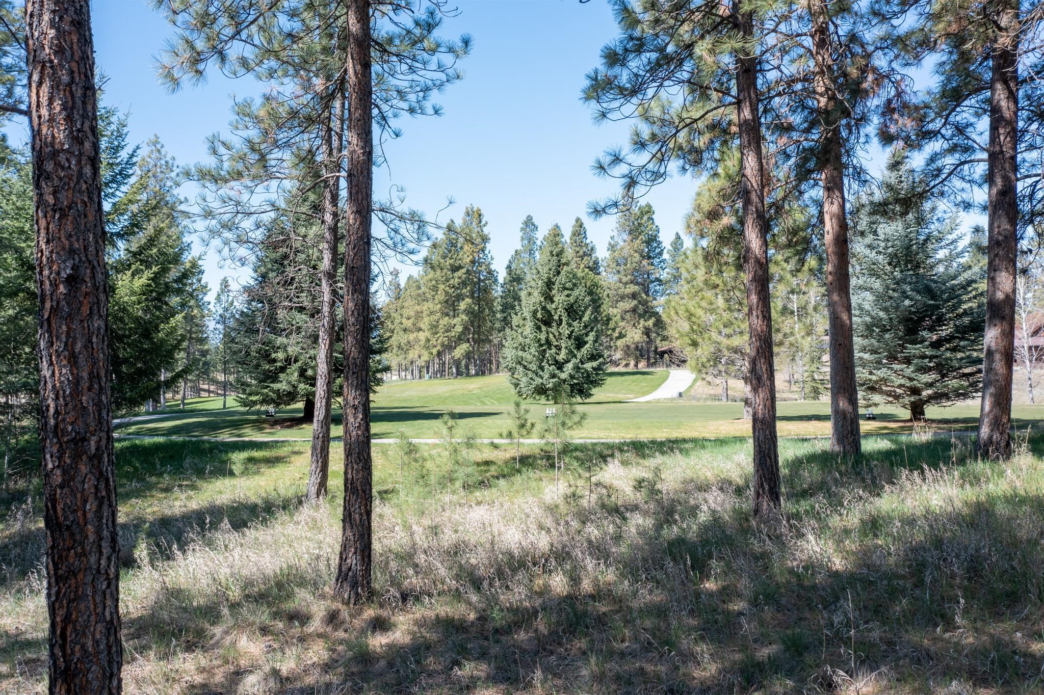 750 Wilderness Club Drive Property Photo 27