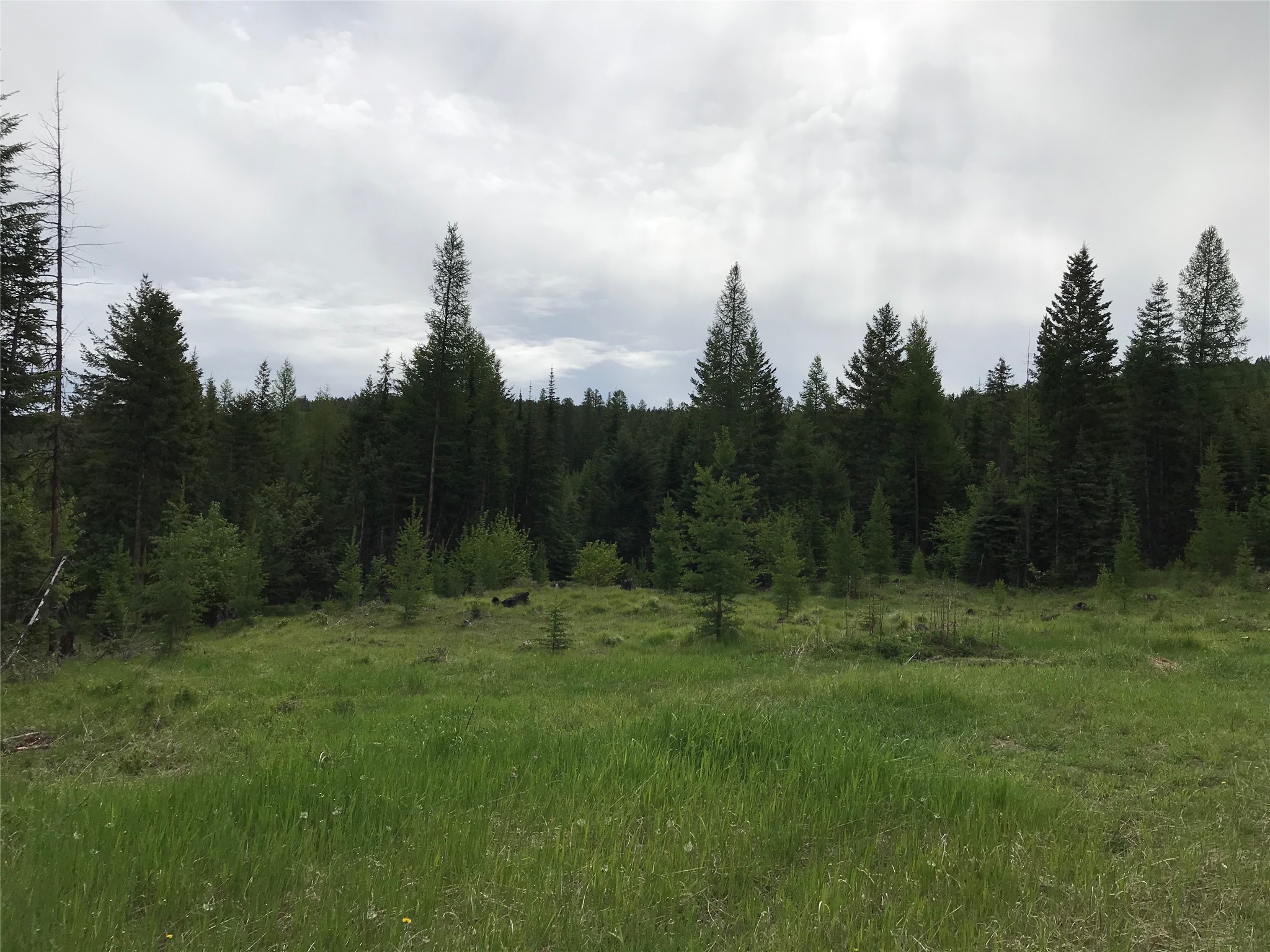 2152 Butcher Creek Road Property Photo 1