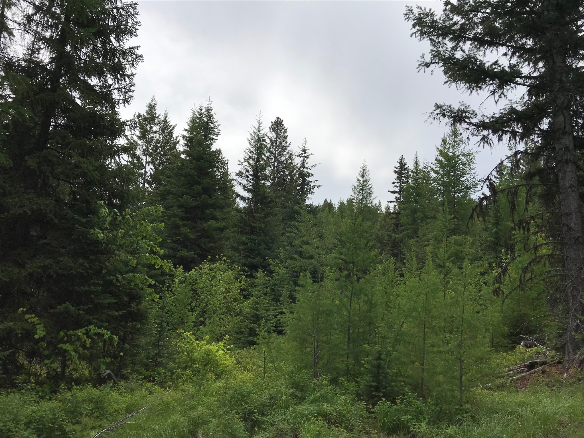 2152 Butcher Creek Road Property Photo 4