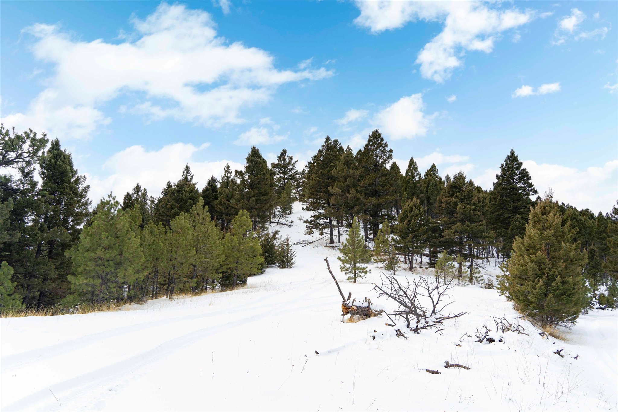 50 Elkhorn Mountain View Road Property Photo 2