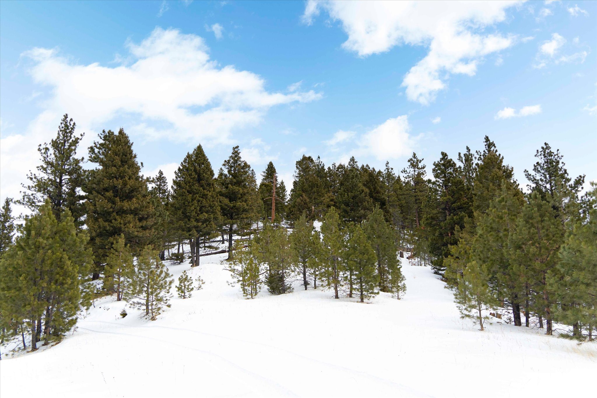 50 Elkhorn Mountain View Road Property Photo 4