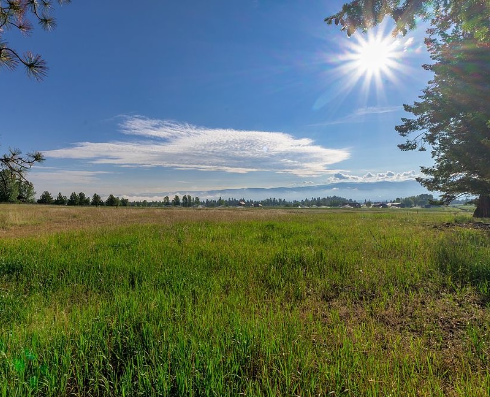1506 Red Crow Road Property Photo