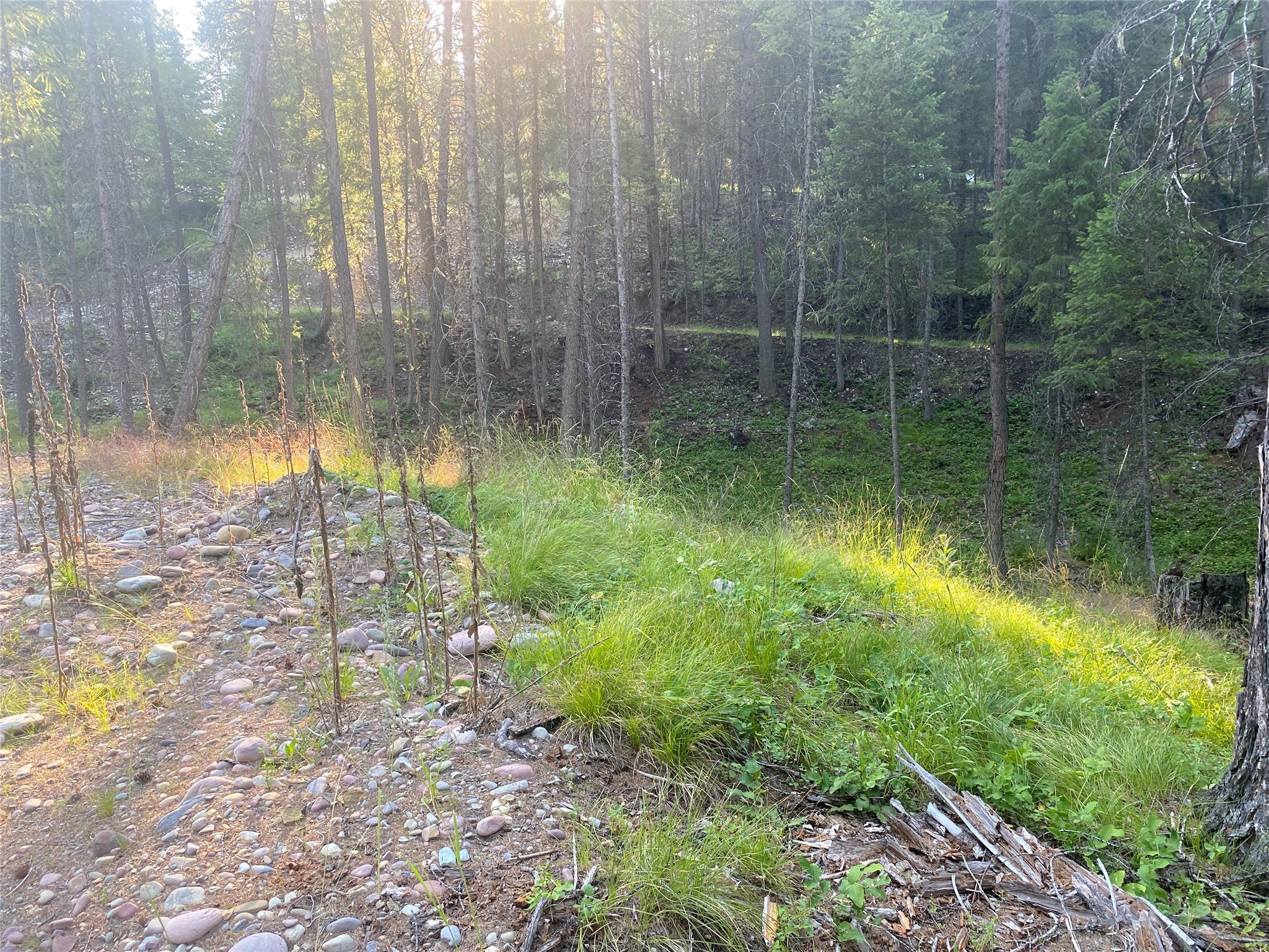300 S Many Lakes Drive Property Photo 4