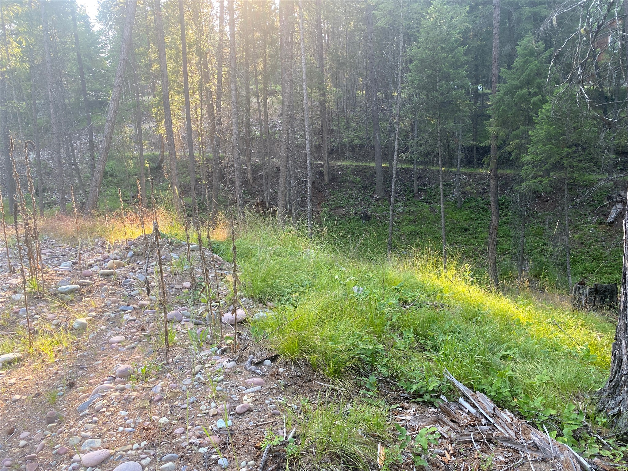 300 S Many Lakes Drive Property Photo 4