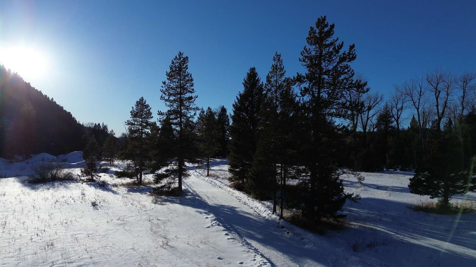 8229 Dead End Trail Property Photo 44