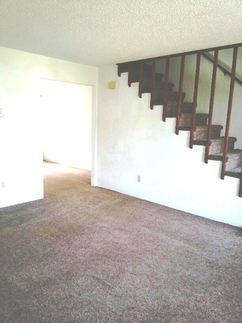 226 7th Avenue W 4 Property Photo 3