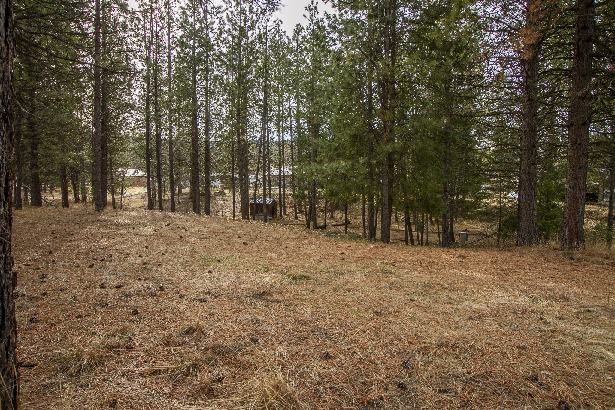 Nhn Hayden Street Property Photo