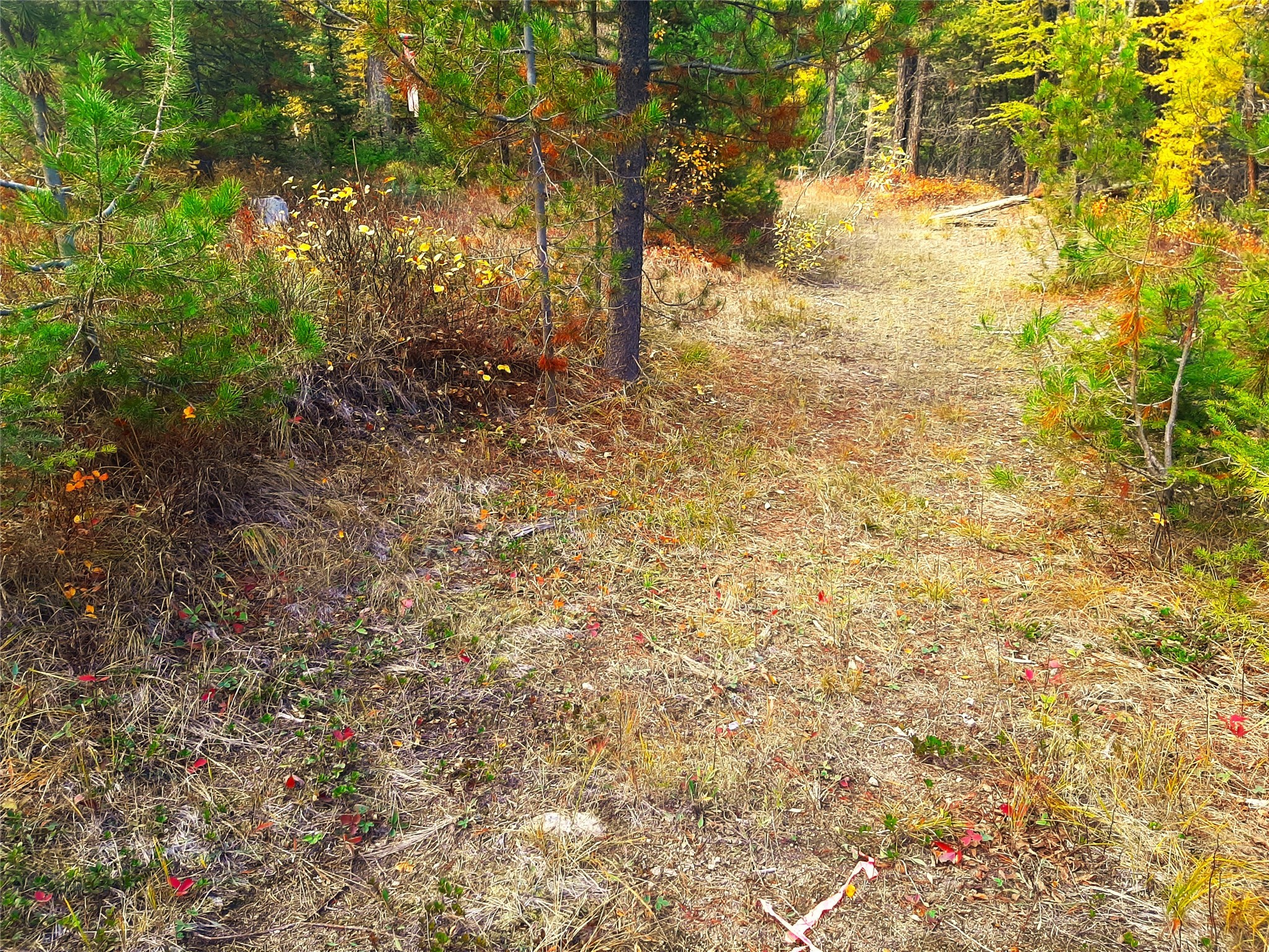 25500 W Ashby Creek Road Property Photo 62
