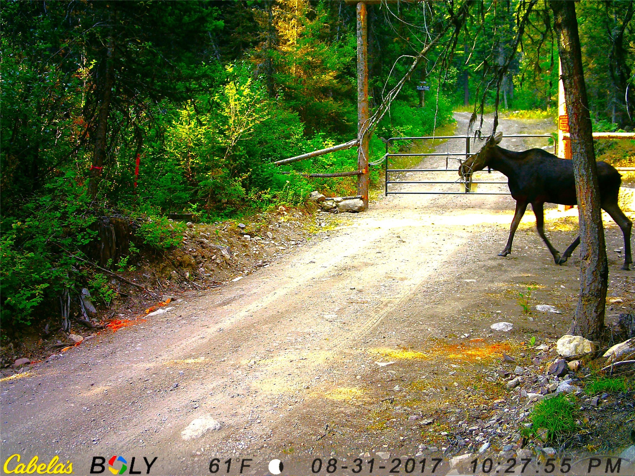 25500 W Ashby Creek Road Property Photo 72