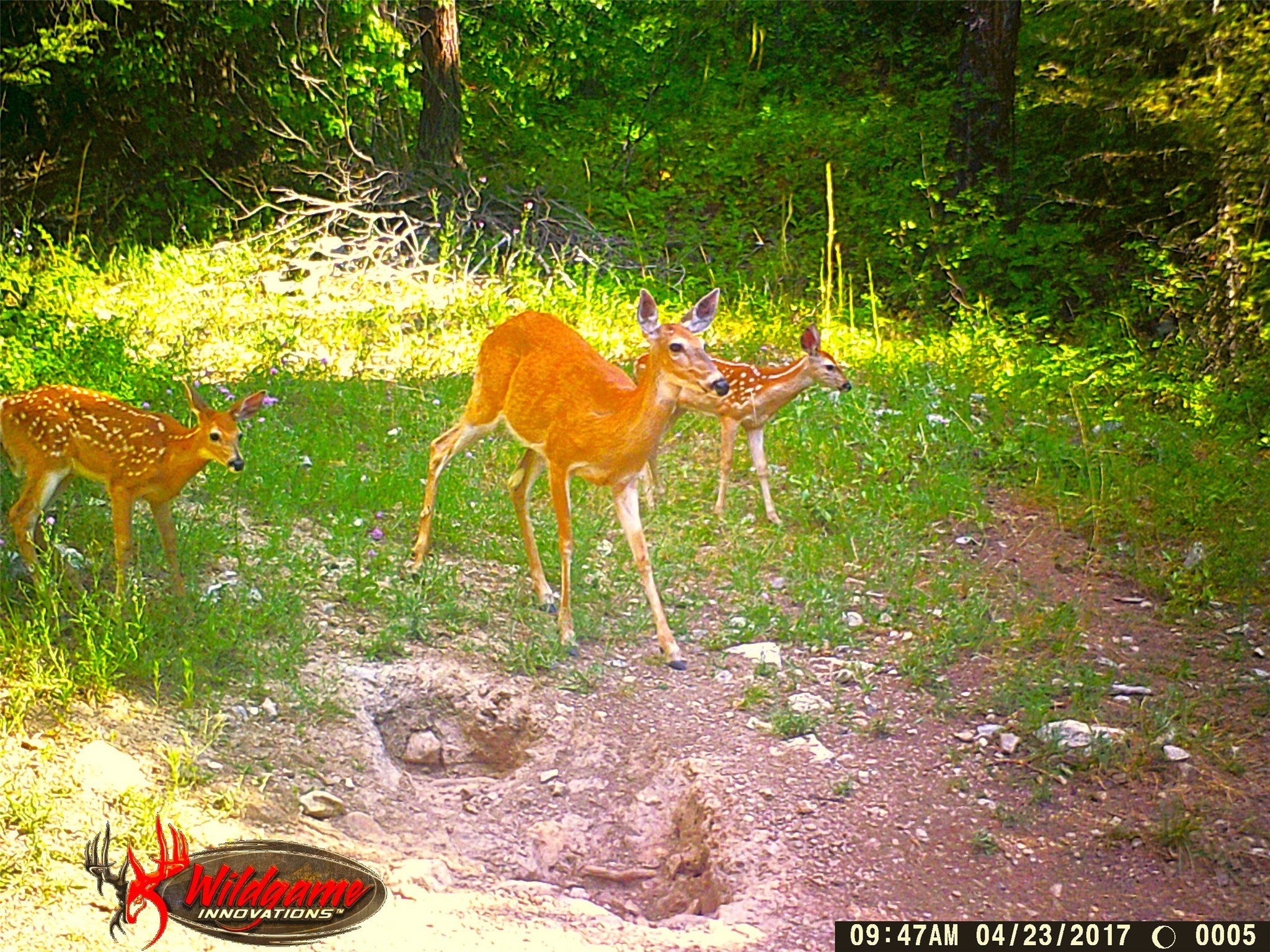 25500 W Ashby Creek Road Property Photo 73