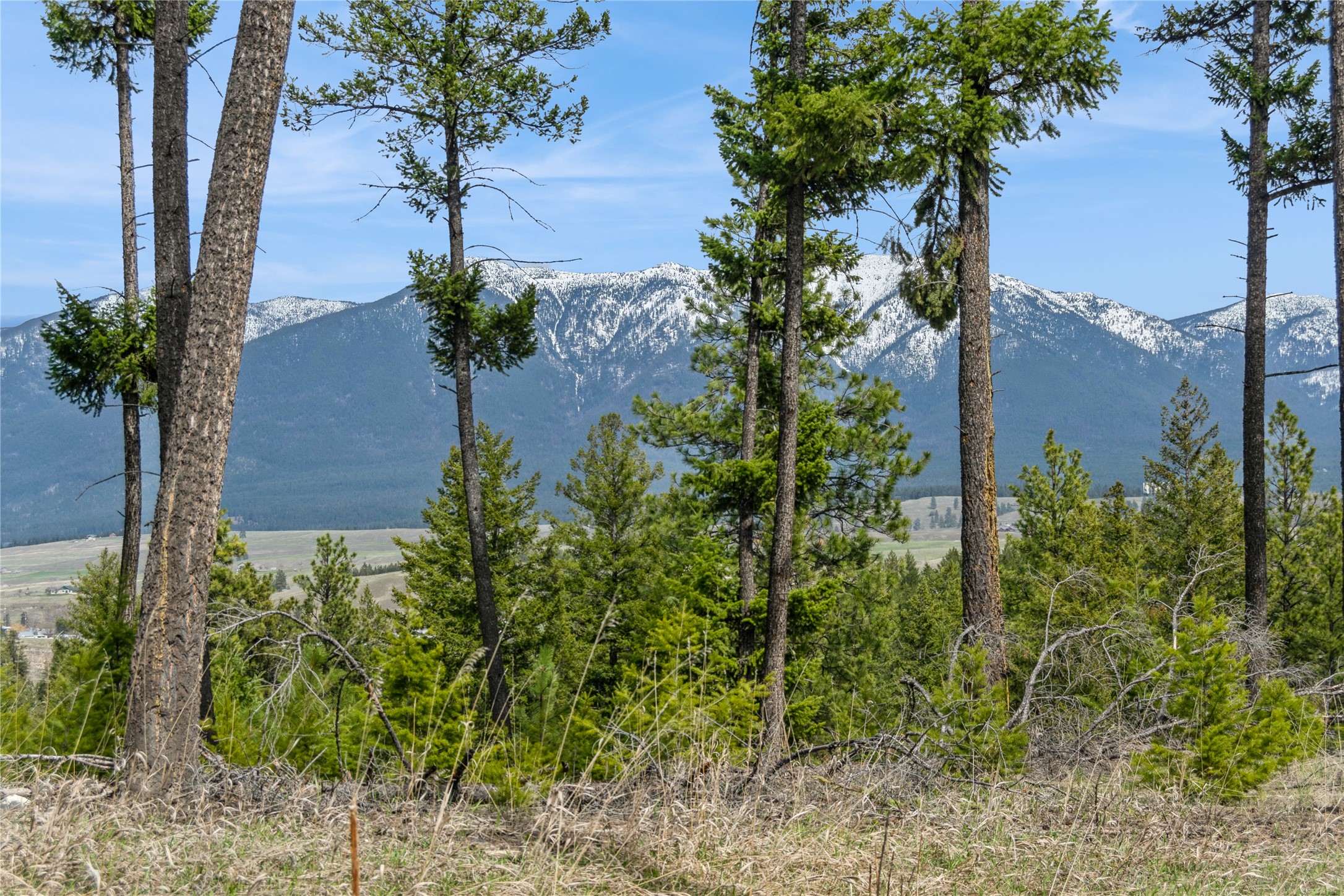 Nhn Tobacco Valley View Road Property Photo