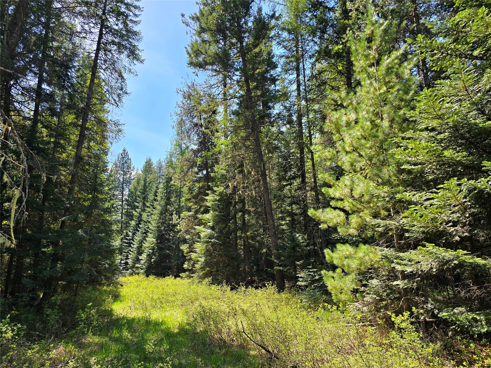 Lot 2 Bayside Lane Property Photo