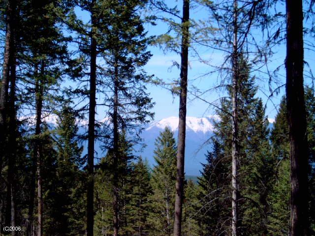 161 Coyote Ridge Pass Road Property Photo