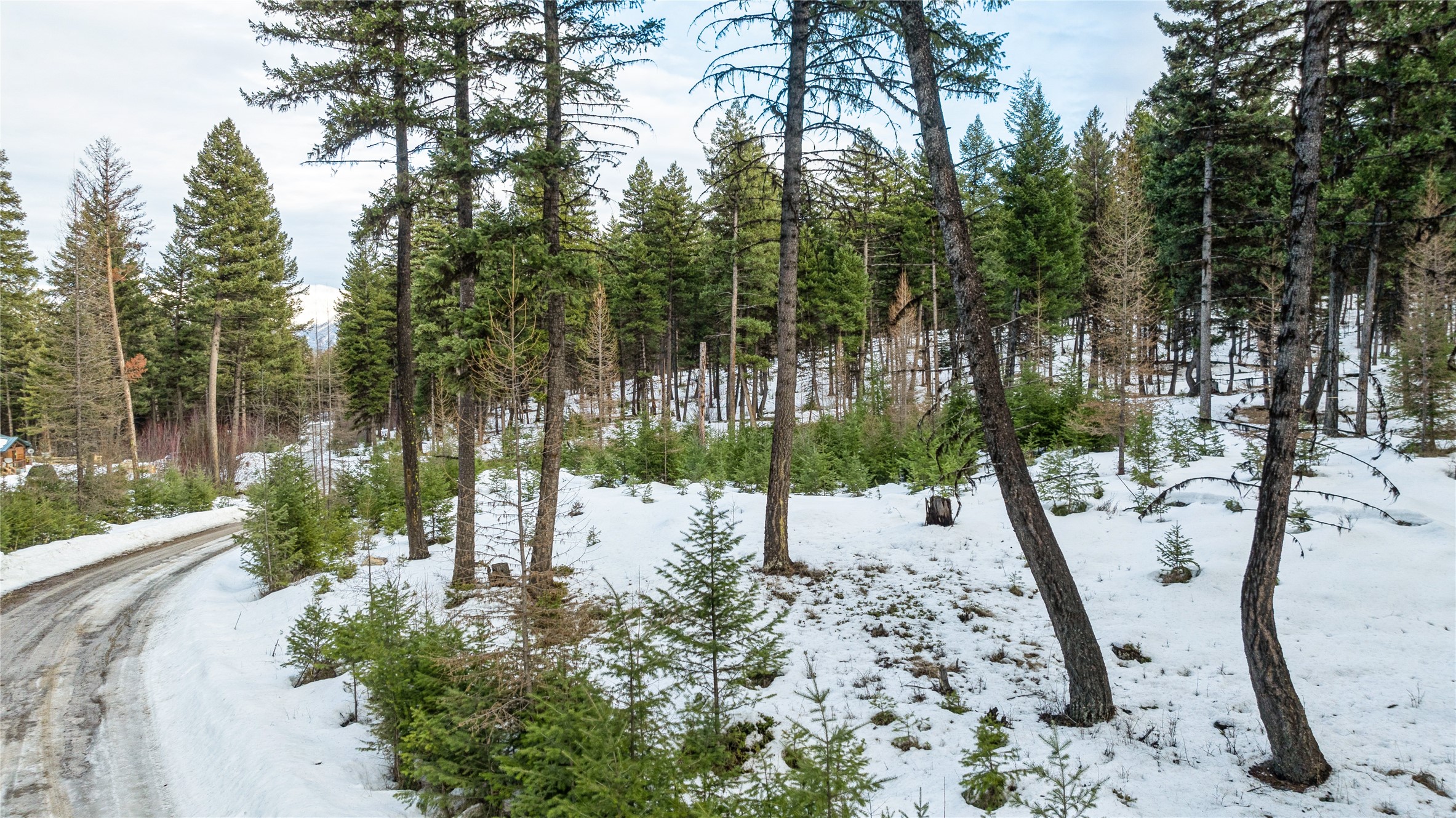 161 Coyote Ridge Pass Road Property Photo 3