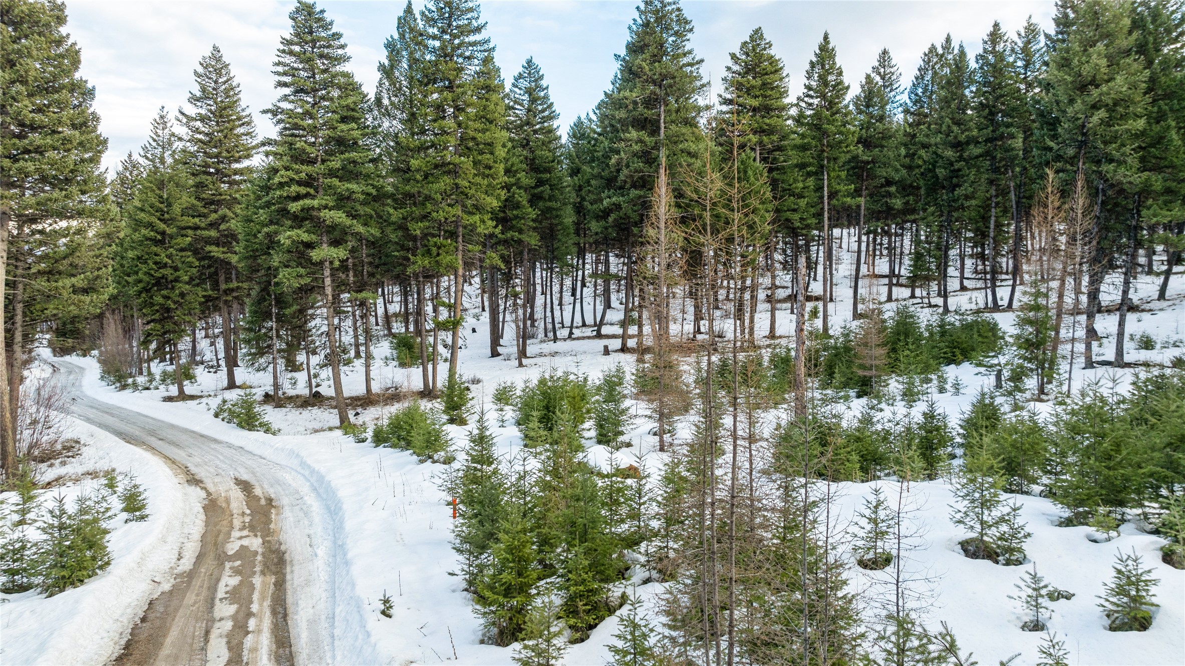161 Coyote Ridge Pass Road Property Photo 4