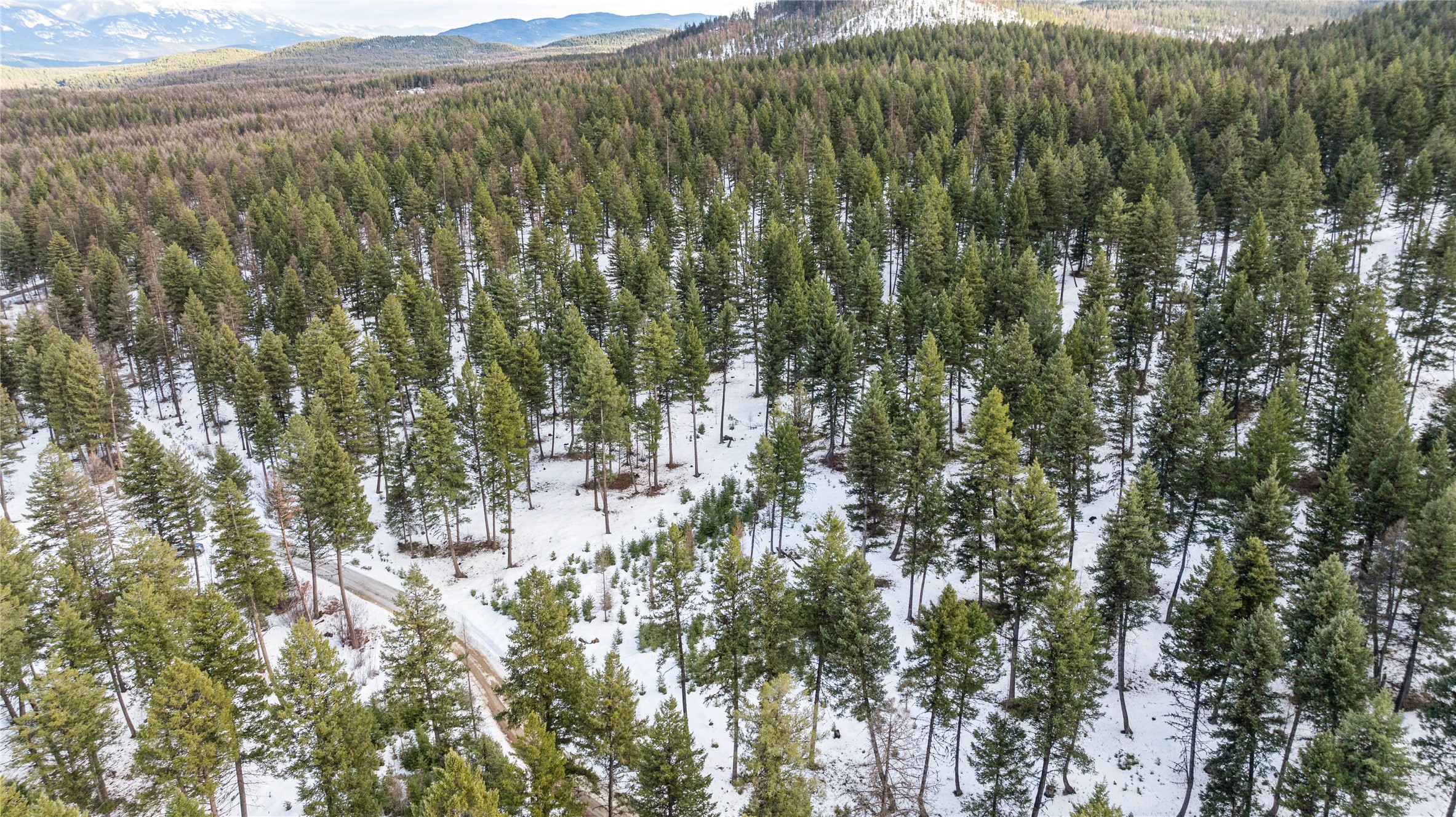 161 Coyote Ridge Pass Road Property Photo 7