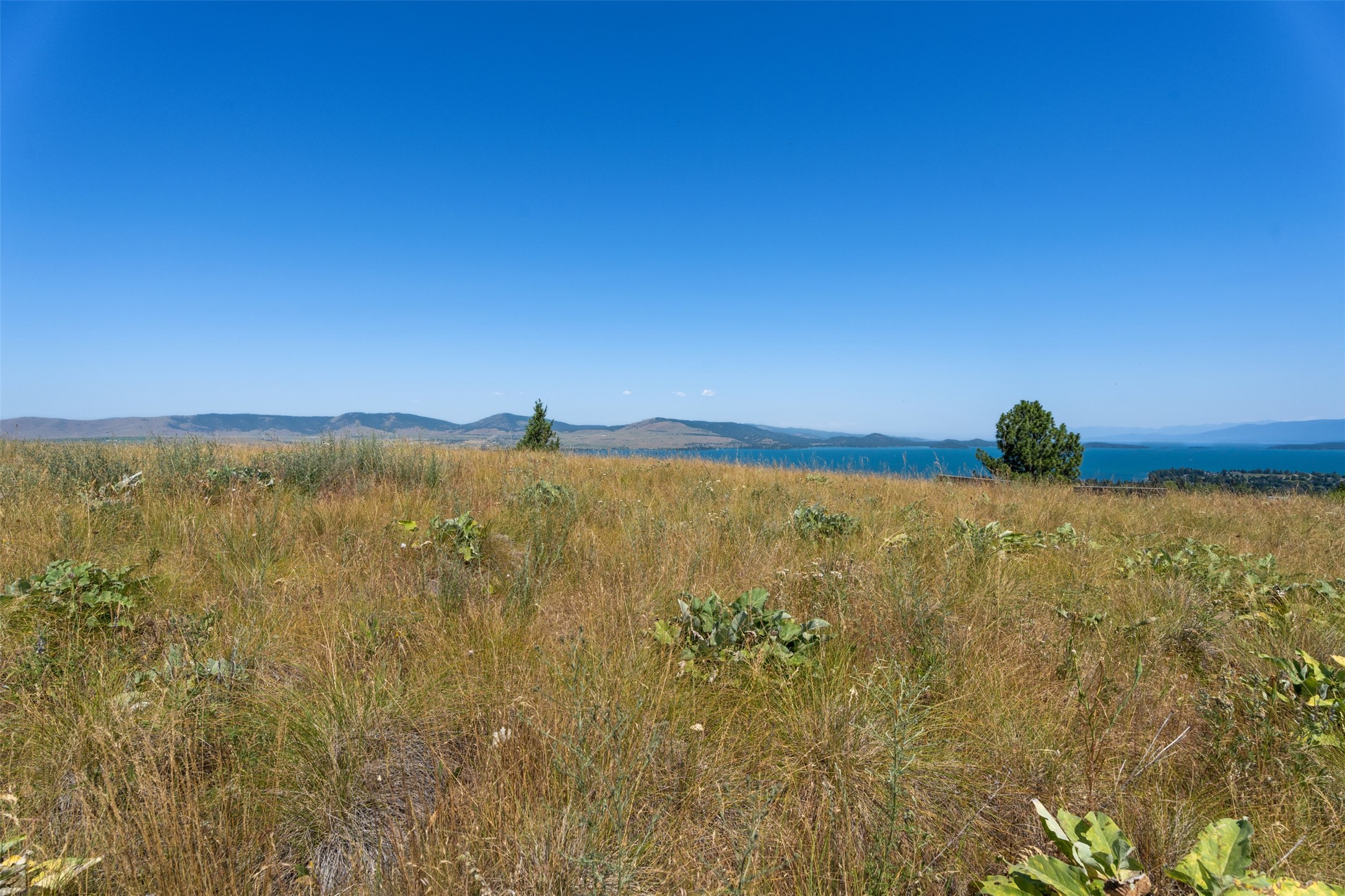 596 Claffey Drive Property Photo 15