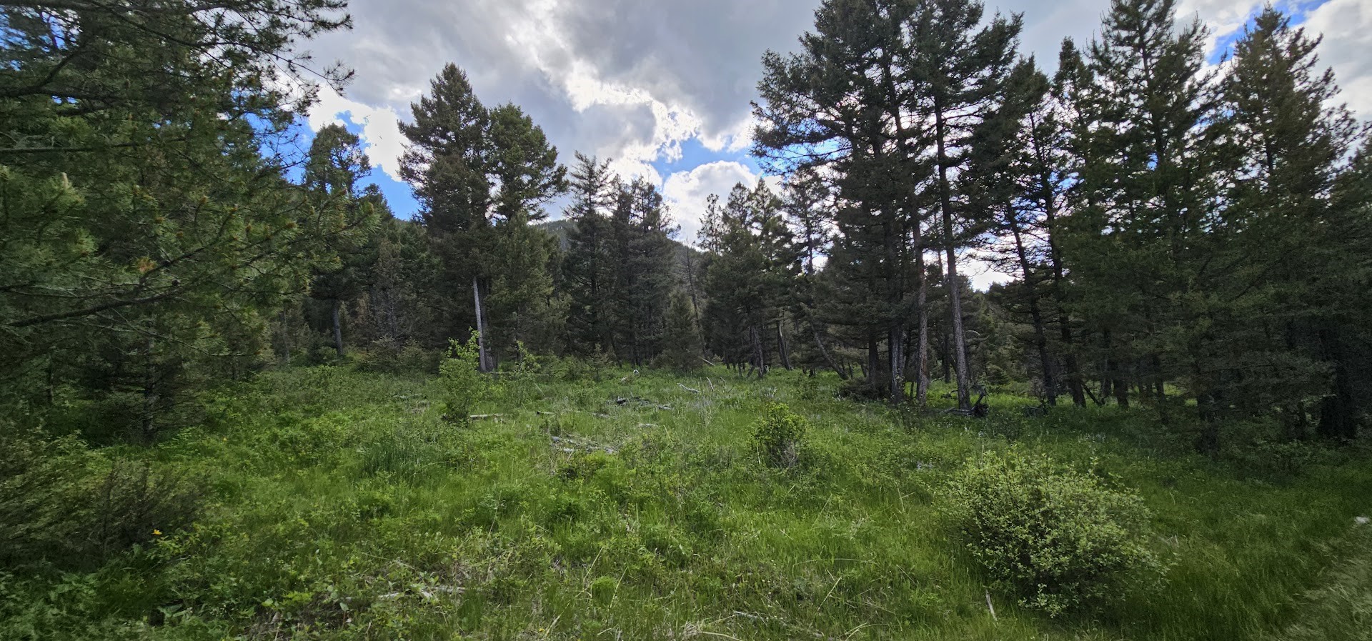 11 Hall Creek Tracts Property Photo 3
