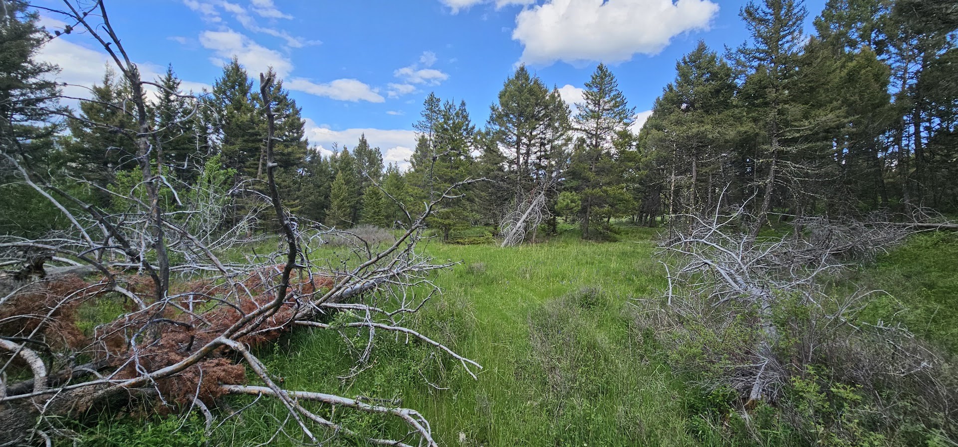 11 Hall Creek Tracts Property Photo 4