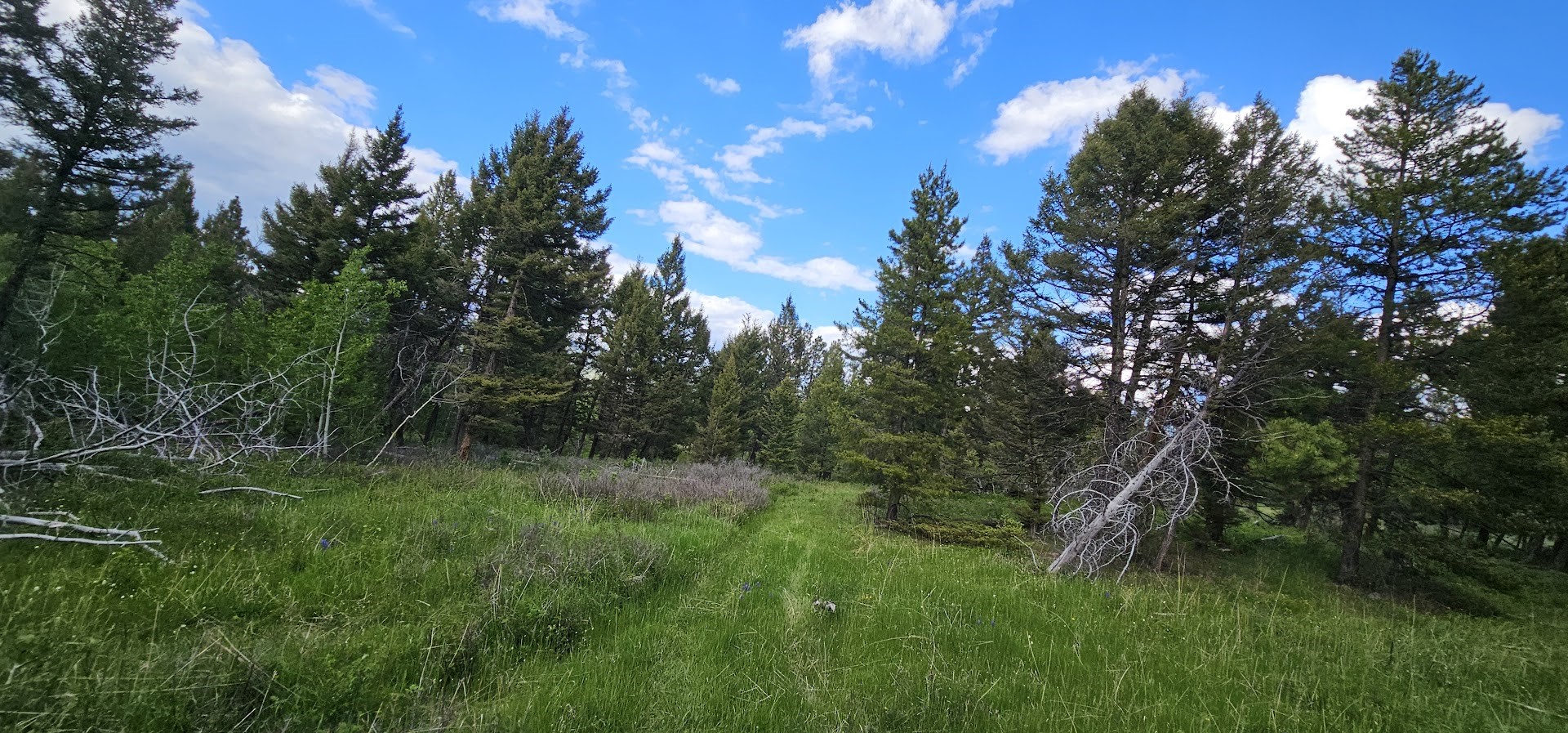 11 Hall Creek Tracts Property Photo 6