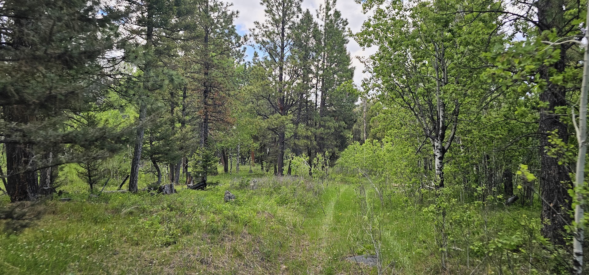 11 Hall Creek Tracts Property Photo 7