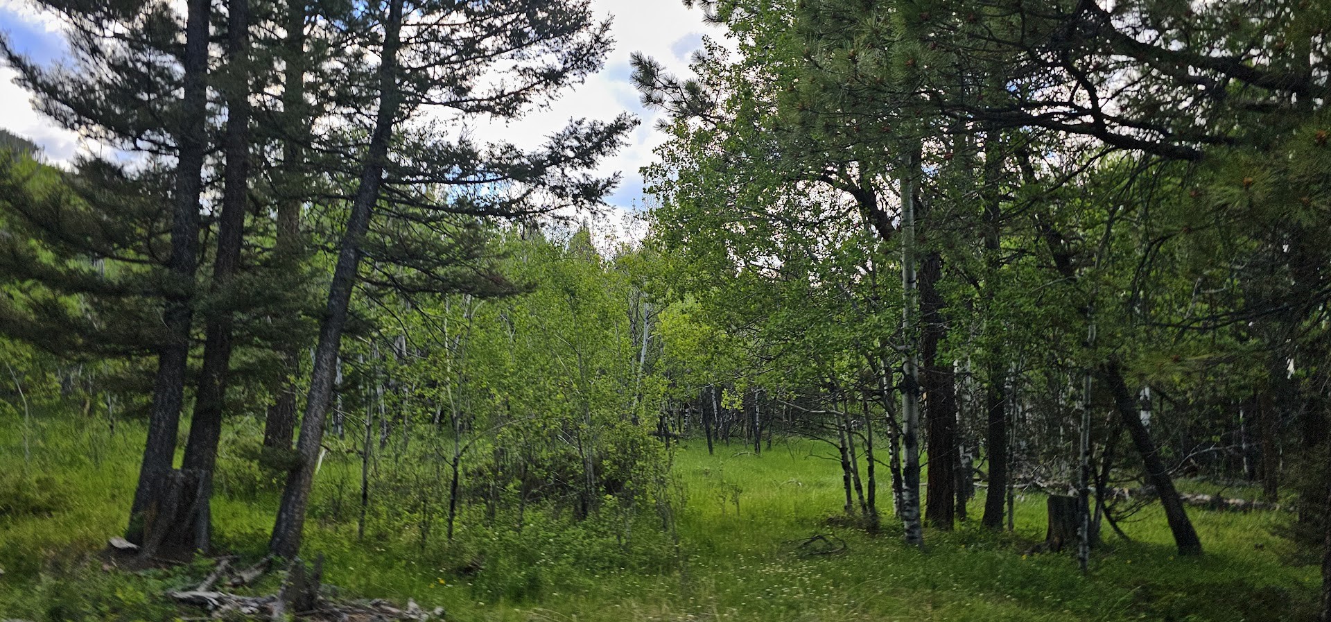11 Hall Creek Tracts Property Photo 9