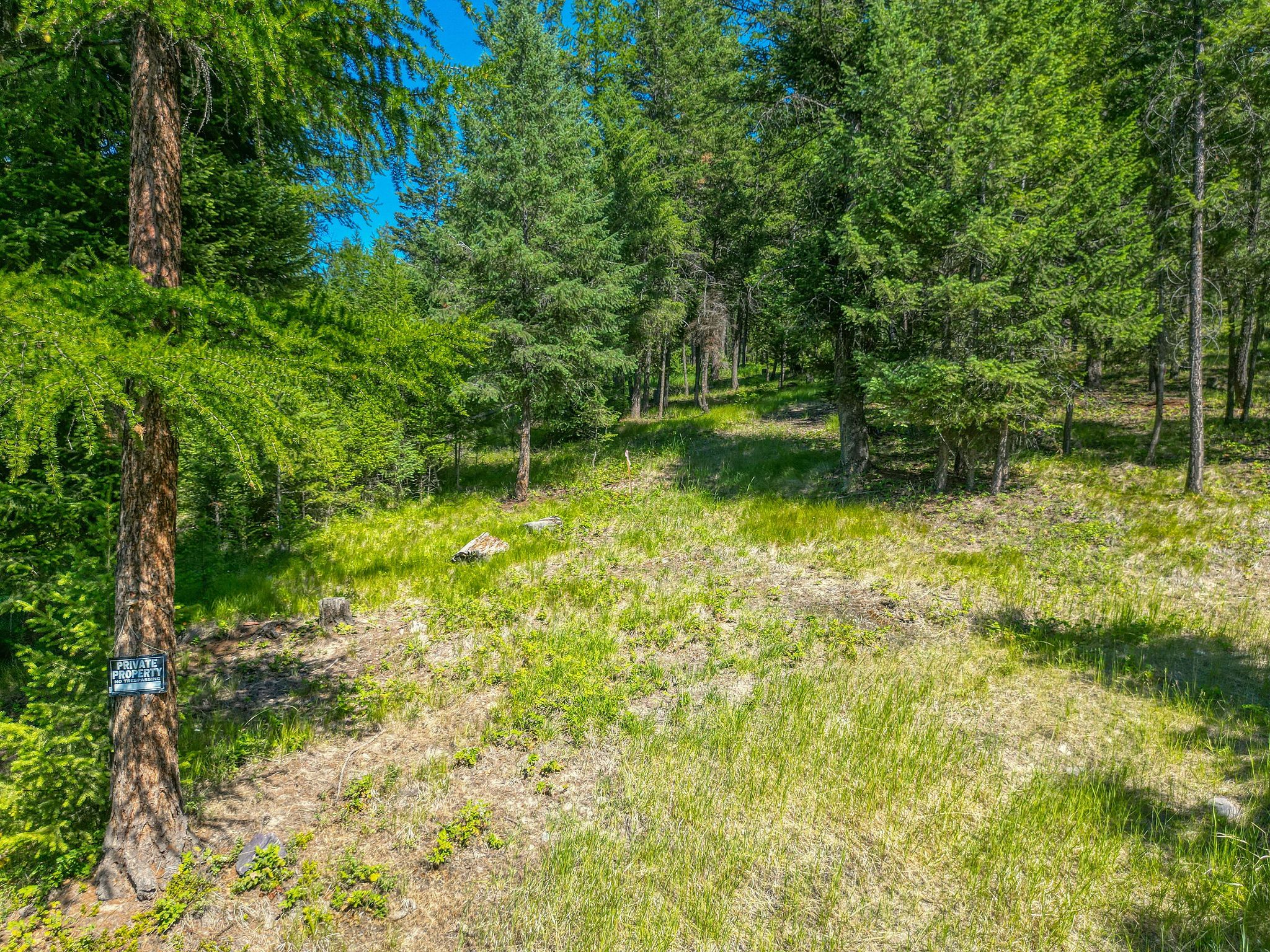 386 Racheals Meadow Lane Property Photo 18