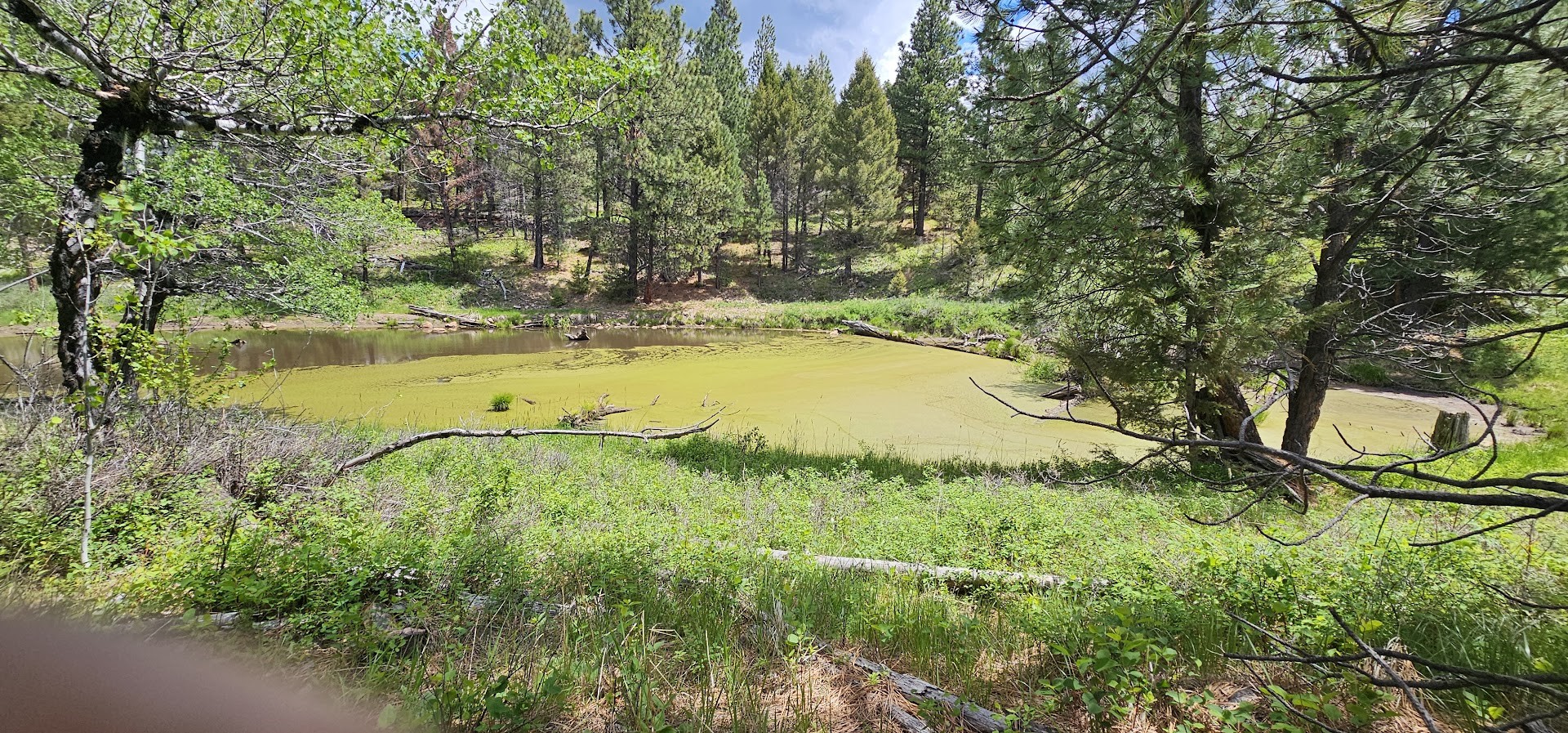 12 Hall Creek Tracts Property Photo
