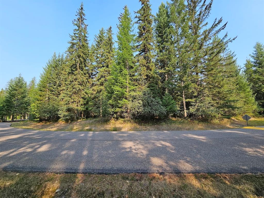 249 Pine Valley Loop Property Photo 3