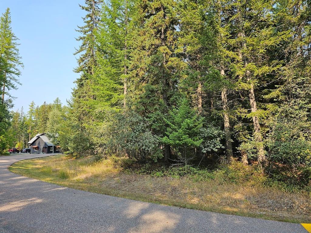 249 Pine Valley Loop Property Photo 4