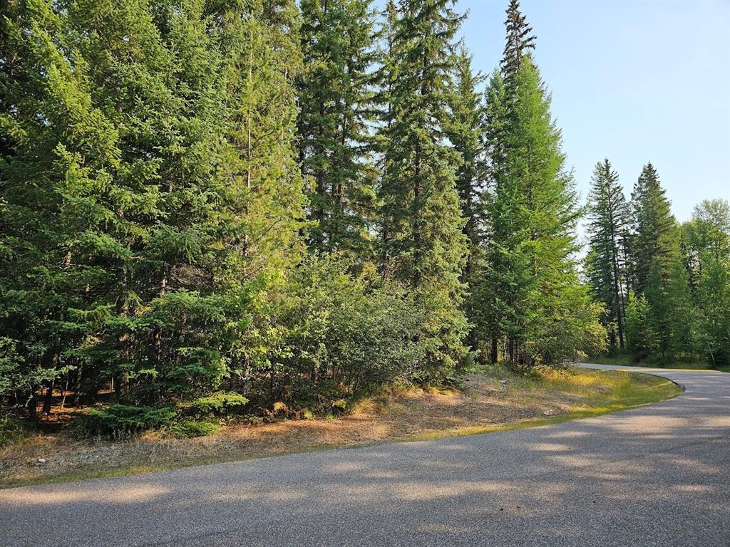 249 Pine Valley Loop Property Photo 5